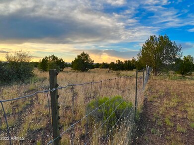TBD Wagon Tree Rd 9 92 Acres --, Ash Fork, AZ 86320 - photo 3