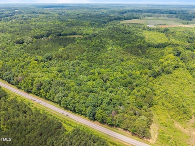 00 Robert Morgan Rd, Bullock, NC 27507 - photo 5