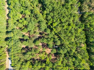 Aerial #2 of lot