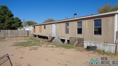 4313 Boyd Dr, Carlsbad, NM 88220 - photo 4