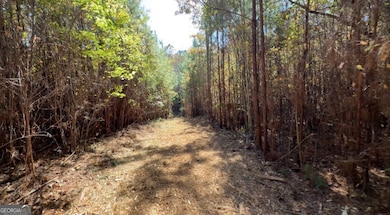 TRACT B Russellville Rd, Forsyth, GA 31029 - photo 4