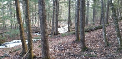 20221213_131316_resized