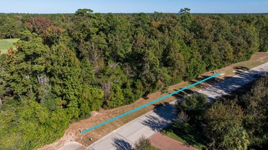 75 Mediterra Way, the Woodlands, TX 77389 - photo 4