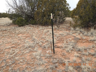 Tract A-1 Cr B29a, Villanueva, NM 87583 - photo 7