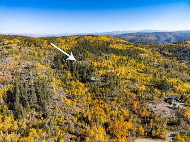 Turkey Trail Lot Fall 3