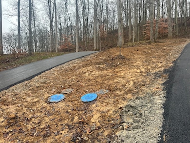 113   Lot 55 Yellowstone Dr unit lot 55, East Bernstadt, KY 40729 - photo 5