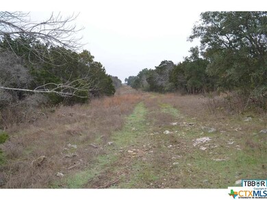 A0607BC Buggy Ride Rd, Temple, TX 76502 - photo 6