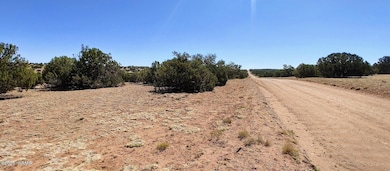 9182 Texas Ln, Show Low, AZ 85901 - photo 2