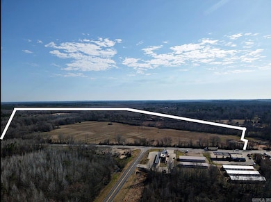 TBD Hwy 67, Curtis, AR 71743 - photo 2