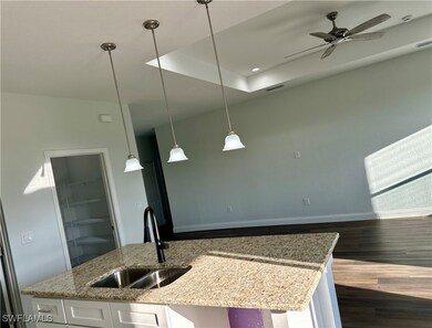 Kitchen with a sink, dark wood-style floors, white
