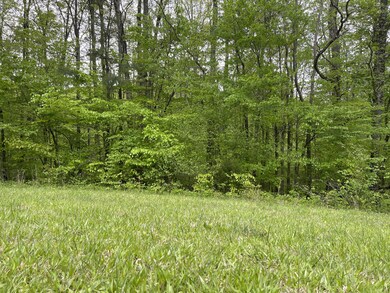 54 Scafidi Ln, Jamestown, KY 42629 - photo 4