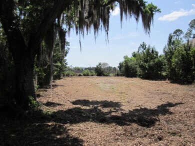 2003 Sea Palms West Dr unit LOT 2, St. Simons Island, GA 31522 - photo 4