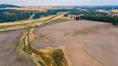 15237 E Belmont Appx Rd, Mica, WA 99023 - photo 6