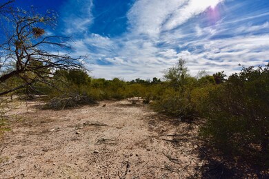 2321 E Greenlee Rd unit 2321, Tucson, AZ 85719 - photo 5