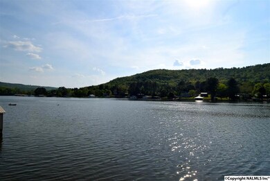 2002 White Elephant Rd, Grant, AL 35747 - photo 6