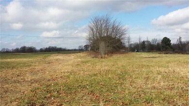 20511 Shackelford Rd, Fayetteville, AR 72701 - photo 4