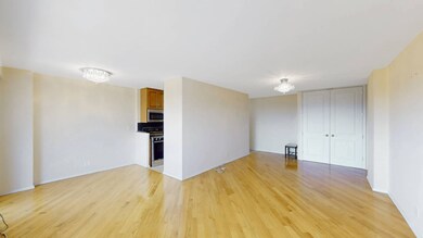 Trump Village unit 23K, Brooklyn, NY 11224 - photo 2