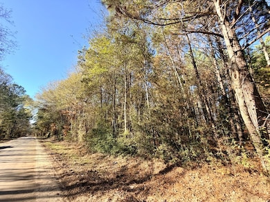 Tract No 1 County Road 3150, Deberry, TX 75639 - photo 4