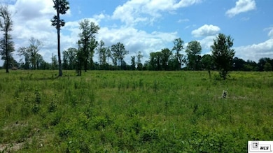 0 Louisiana 139 unit Tract 1, Monroe, LA 71203 - photo 2
