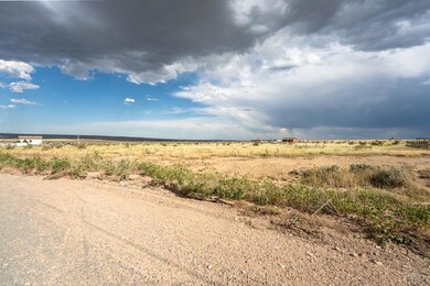 1968 E Farley Ave, Pueblo West, CO 81007 - photo 3