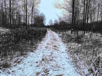 01 Matthew Dr, Birnamwood, WI 54414 - photo 3