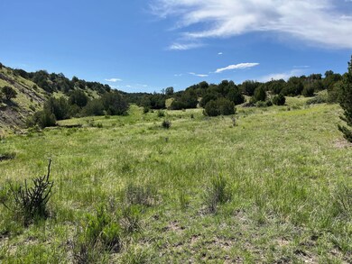 0 Railroad Springs Rd unit 11285260, Pueblo, CO 81004 - photo 5