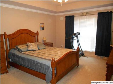 Large master bedroom with a tray ceiling