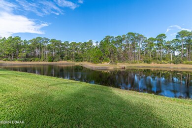 33ChrysanthemumDrOrmondBeach-29