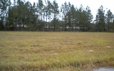 0 NW Caden Glen, Lake City, FL 32055 - photo 2