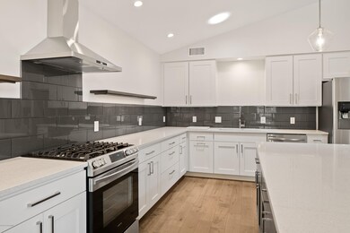 Modern Gourmet Kitchen