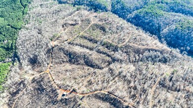 Drone / aerial view with a view of trees