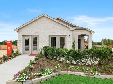 17971 Plow Horse Ln, Hockley, TX 77447 - photo 2