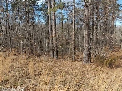 000 Greene 707 Rd, Paragould, AR 72450 - photo 4