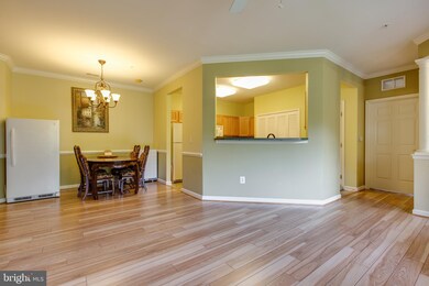 5915 Abrianna Way unit UTB, Elkridge, MD 21075 - photo 7