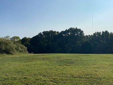 290 Newbury Rd, Reeds Spring, MO 65737 - photo 5