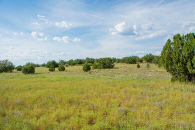 12X2 E Cougar Ridge Rd, Paulden, AZ 86334 - photo 3