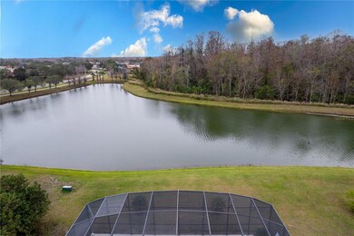 Backyard Views
