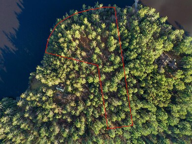 LotOnRainbowLake_LotwithLines
