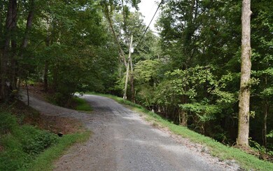 Additional View