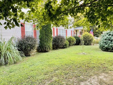 22 Mott St, New Madrid, MO 63869 - photo 3