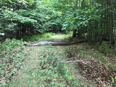 333 Country Club Loop unit 38, Stowe, VT 05672 - photo 4