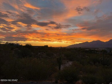 Orange Sunset