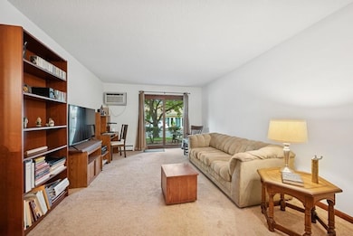 2809 E Minnehaha Pkwy unit 105, Minneapolis, MN 55417 - photo 2