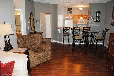 602 Aqua Marine Blvd unit 2, Avon Lake, OH 44012 - photo 5