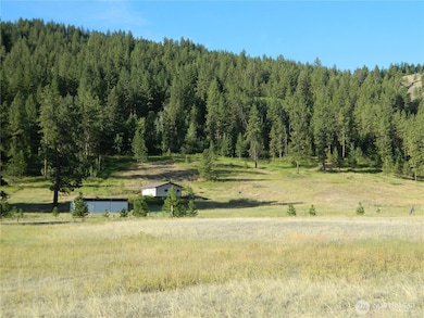 10 Sorona Way E, Tonasket, WA 98855 - photo 2