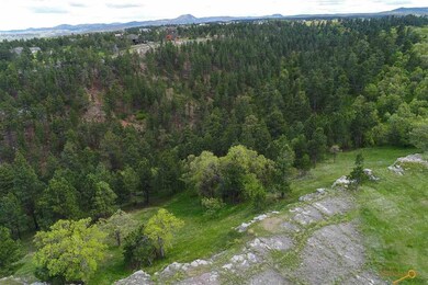 TBD Cedar Berry Dr, Spearfish, SD 57783 - photo 5