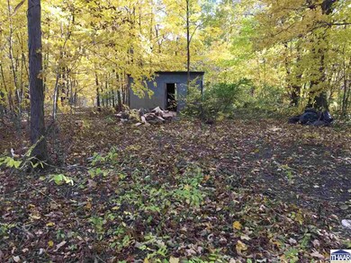 0000 S Hutchinson St, Pierson Township, IN 47802 - photo 4