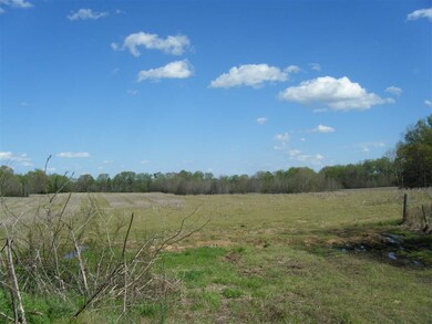 1835 Braden Rd, Mason, TN 38049 - photo 7