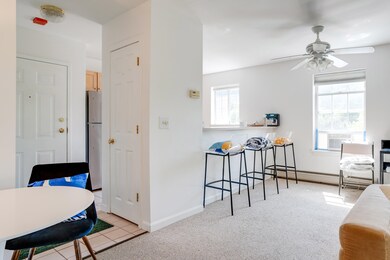 39 Hildred Dr unit 39, Burlington, VT 05401 - photo 5