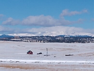 0 Raven Ln unit S1040890, Hartsel, CO 80449 - photo 6